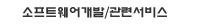 소프트웨어개발/관련서비스